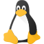 dépannage serveur dédié Linux
